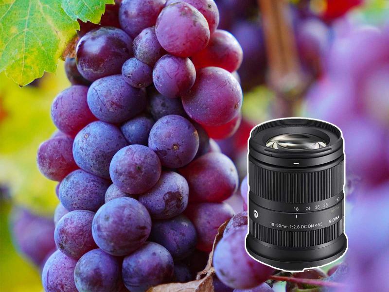 Harald Bauer, Hersteller