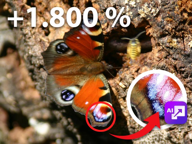 Jörg Rieger Espíndola, Hersteller