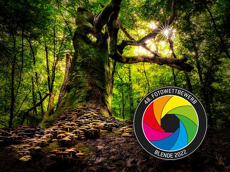 Norbert Senser, Prophoto GmbH