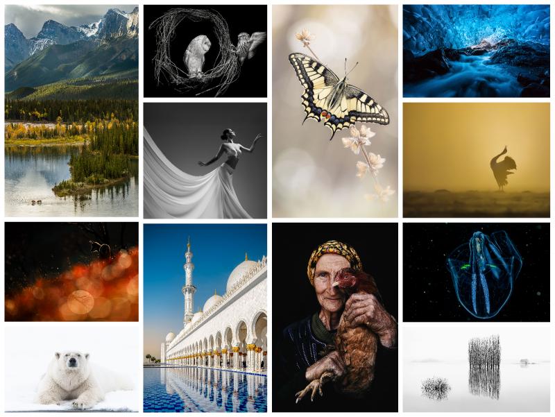 Ahmed El Hanjoul, Sandra Kuhna, Axel Brand, Anton Simon, Katharina Meyer, Klaus-Peter Selzer, Robert Sommer, Heiko Römisch, Sebastian Rose, Matt Engelmann, Doris Vogt, Karin Kasten