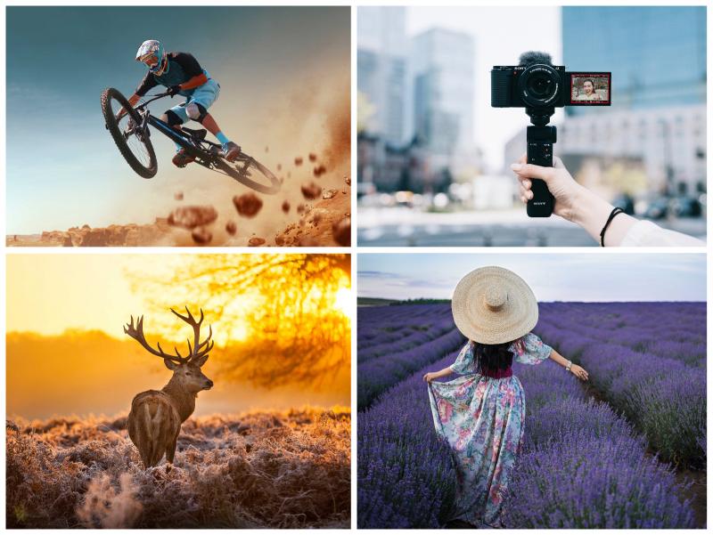 Ольга Shadska, VIAR PRO studio, arturas kerdokas – stock.adobe.com/de, Hersteller