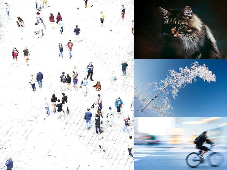 indukas – stock.adobe.com/de; fabiofoto, THEPALMER, Roberto A. Sanchez – istockphoto.com/de