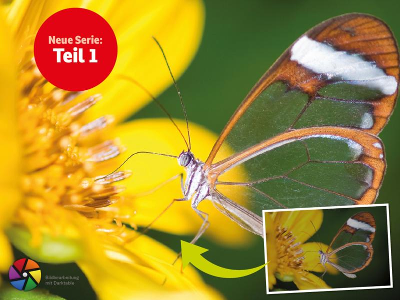 Carlos González – stock.adobe.com/de