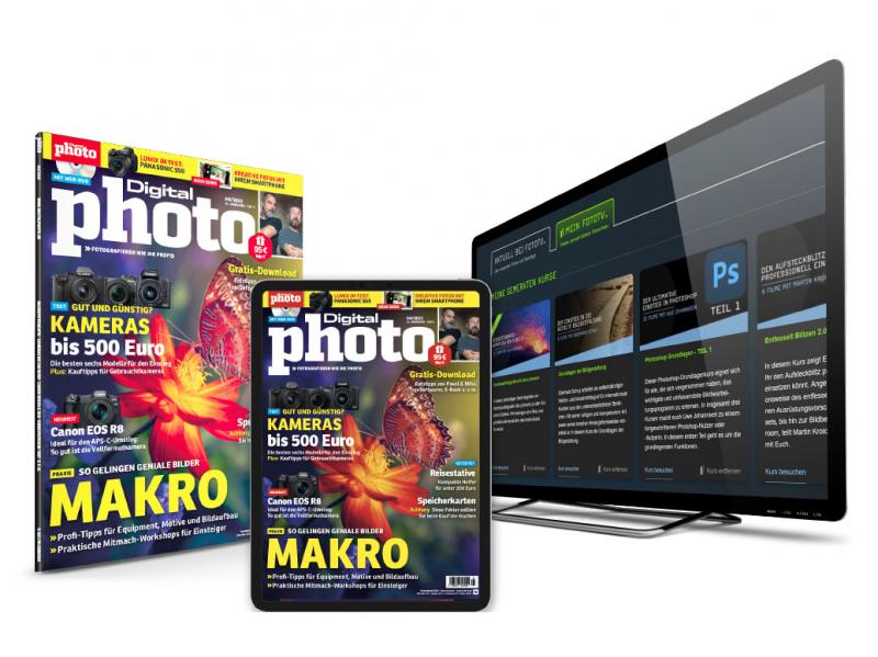 falkemedia, pichit – stock.adobe.com/de