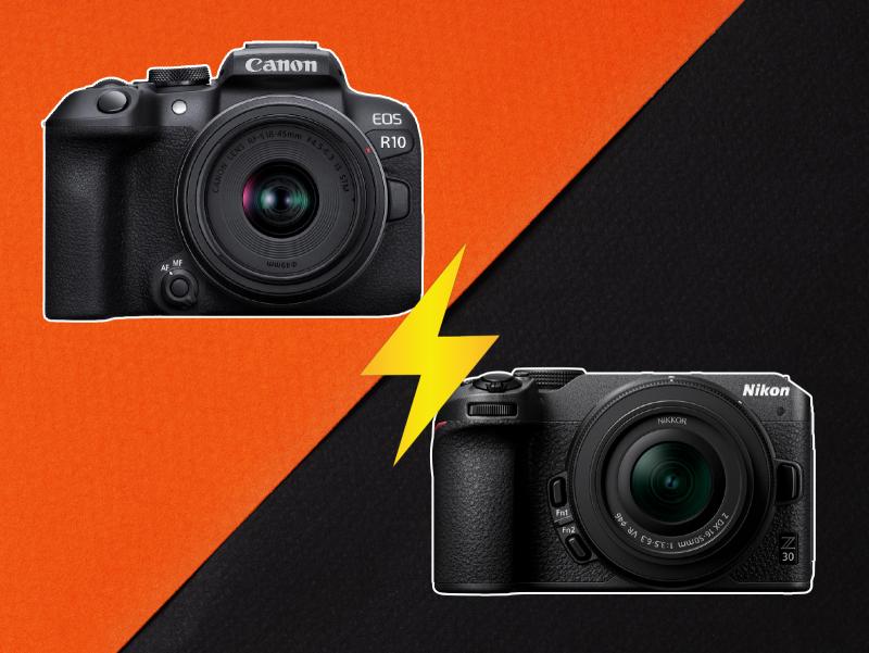 Hersteller, stock.adobe.com/de – Maya Kruchancova; CarryLove