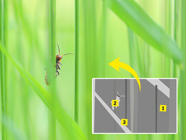 Markus Hendel, Sandra Theumert