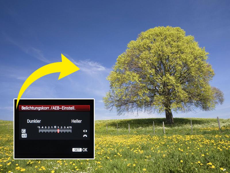 istockphoto.com/de – wingmar; falkemedia