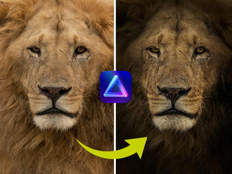 Marina Cano; Hersteller