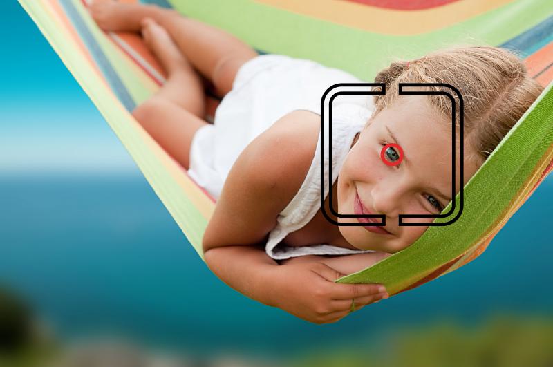 Gorilla, Ralf&#039;s icons – stock.adobe.com/de