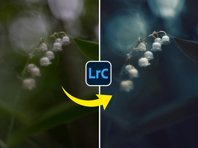 Christina Lourenço, Hersteller