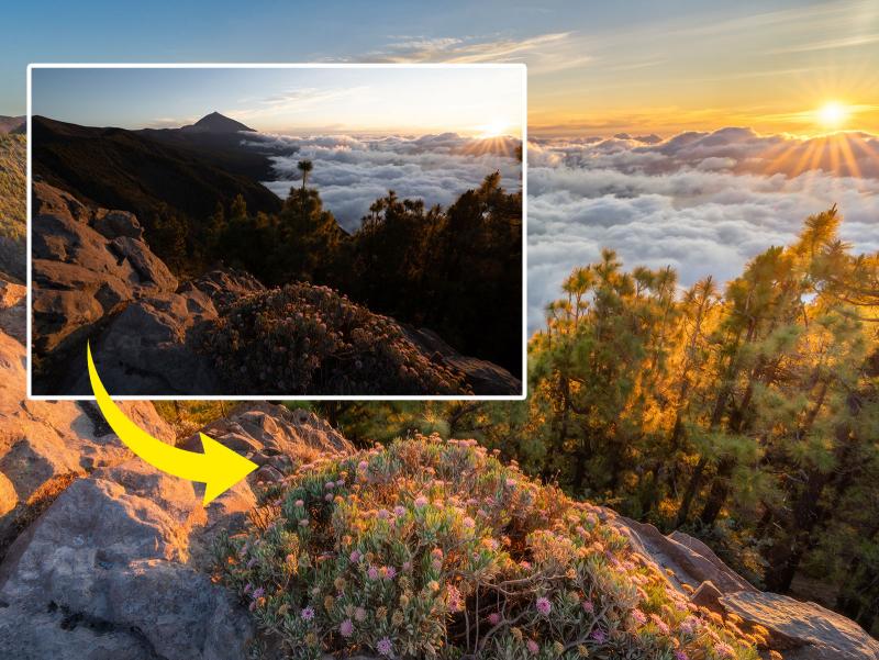 Alexander Lauterbach