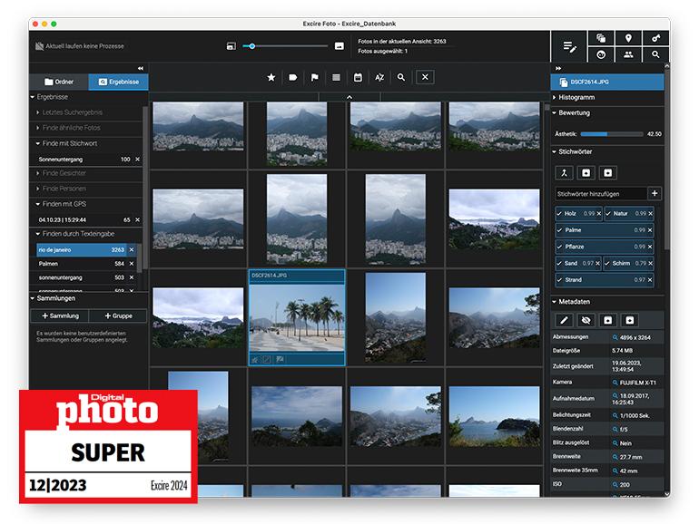 Jörg Rieger Espíndola, falkemedia