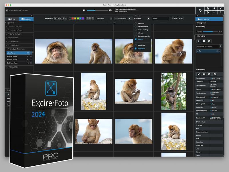 Hersteller, Jörg Rieger Espíndola