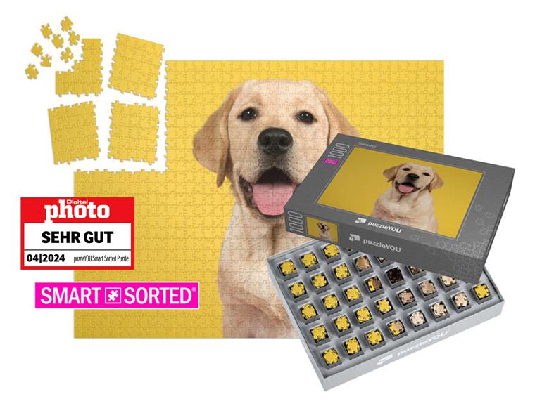 Hersteller, falkemedia