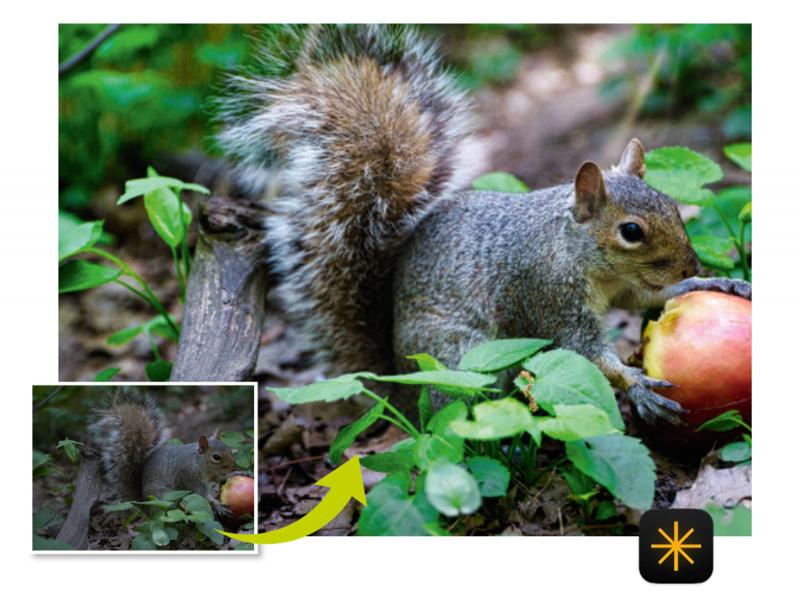 Hersteller, Jörg Rieger Espíndola