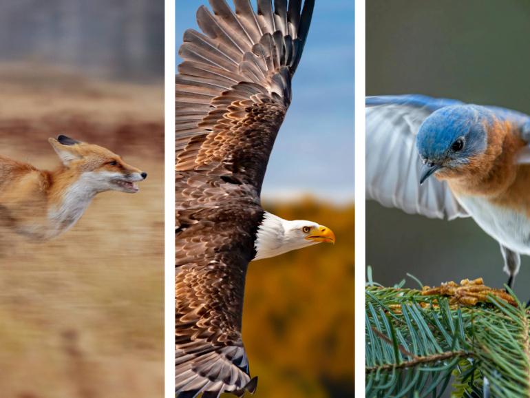 Klaus Brauner, Andreas Neßlinger – stock.adobe.com/de; Skyler Ewing – pexels.com/de