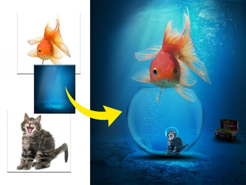 Kreatives Photoshop-Composing kittiyaporn1027 (Hintergrund), Africa Studio (Glaskugel), sommai (Fisch), cynoclub (Katze), Thicha (Truhe), Siwakorn1933 (Wasserblasen), GINGER_Tsukahara (Licht-Overlay) – stock.adobe.com; Bildbearbeitung Julia Carp