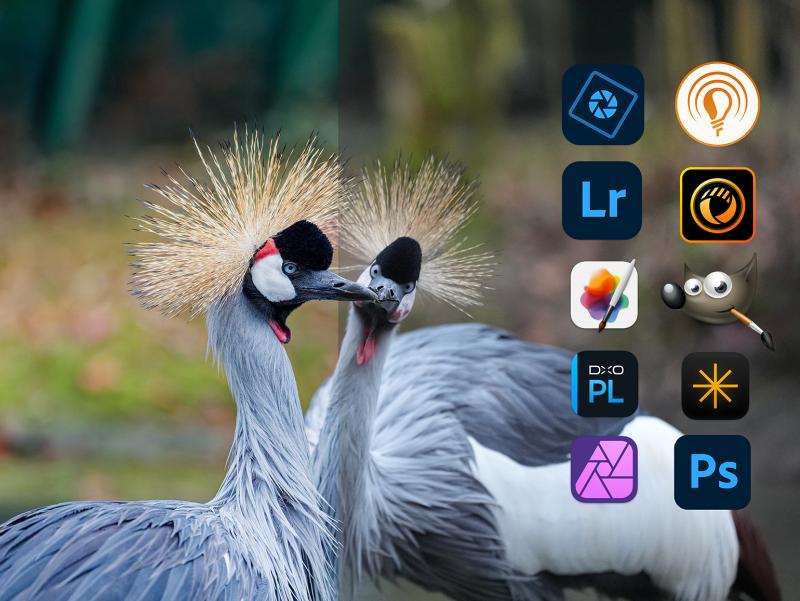 Jörg Rieger Espíndola