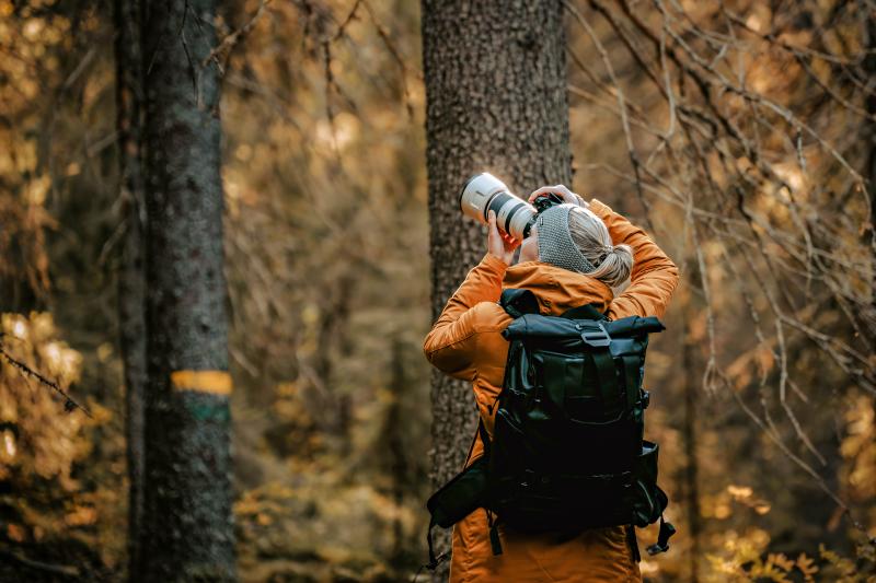 Alexander Eichenlaub